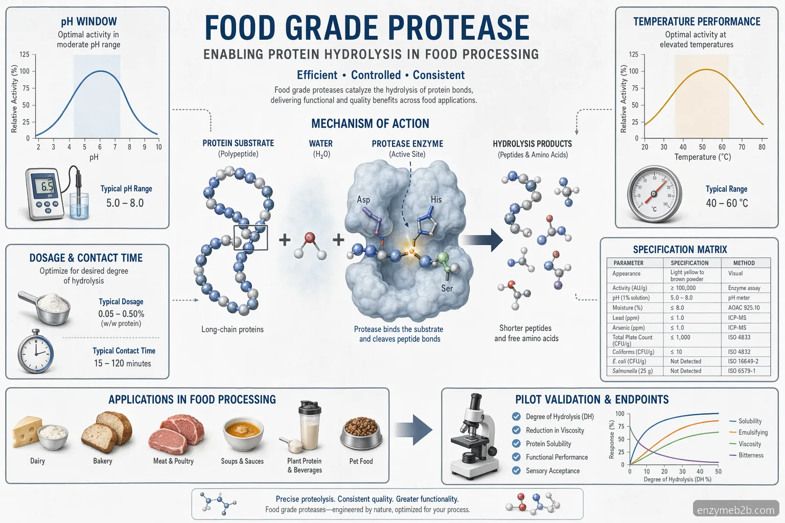food grade protease enzyme supplier usa guide схема с pH, температура, substrate reaction и specs