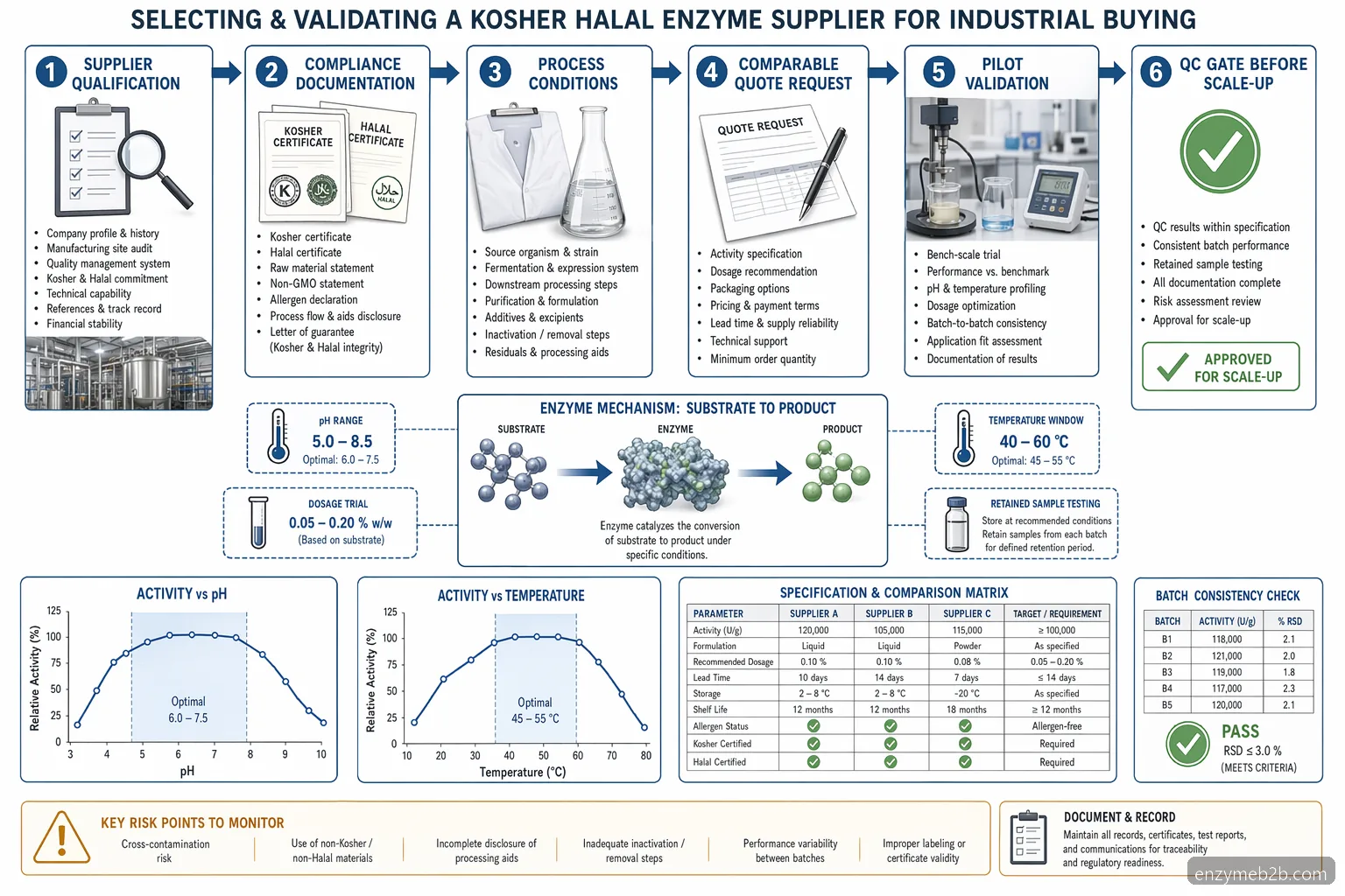 Diagramma di processo per kosher halal enzyme supplier con test di pH, temperatura, substrato, QC pilota e gate di scale-up